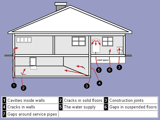Potential Radon Entry Points in a House